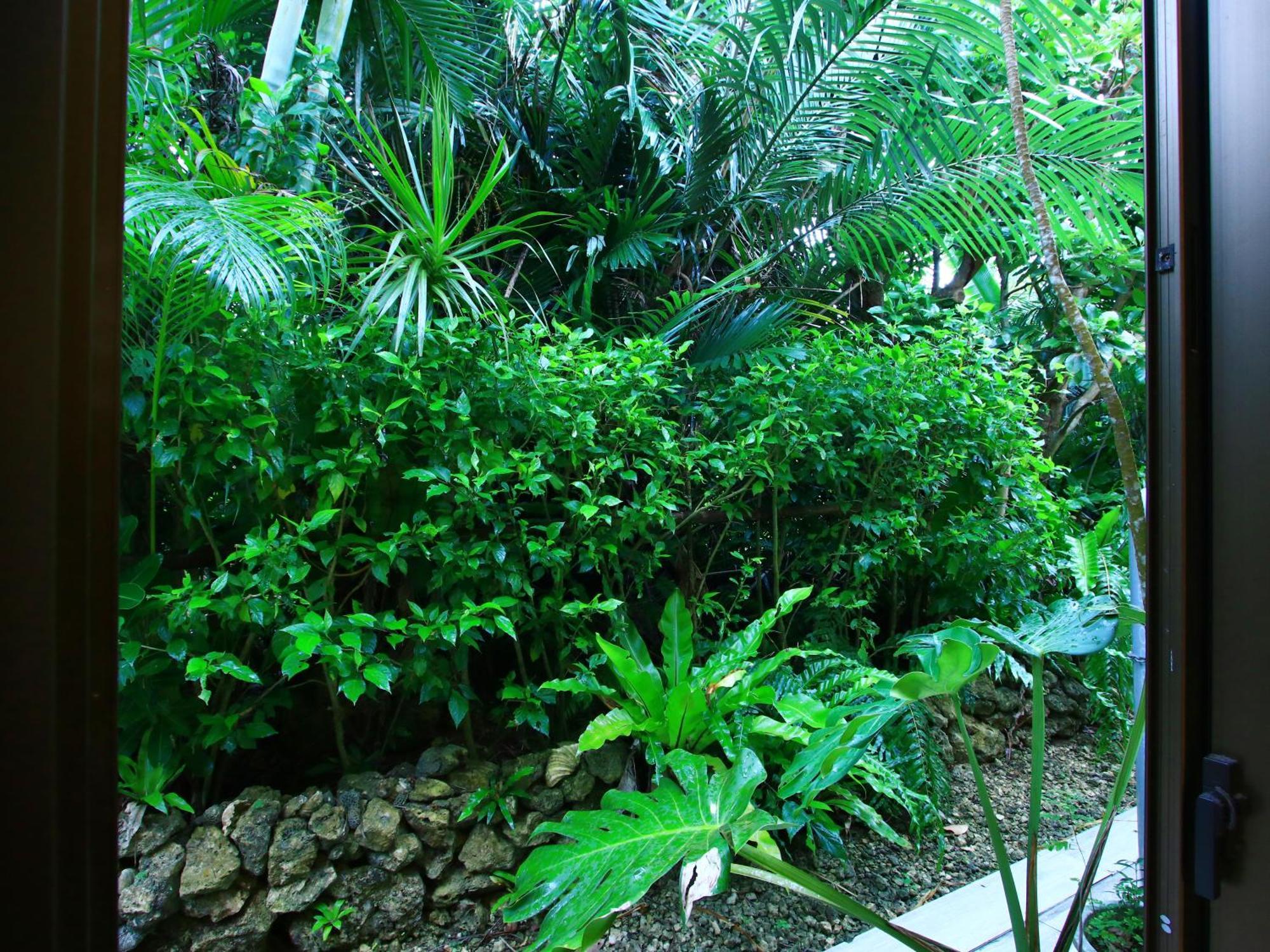 Kachibai Villa Ishigaki  Екстериор снимка